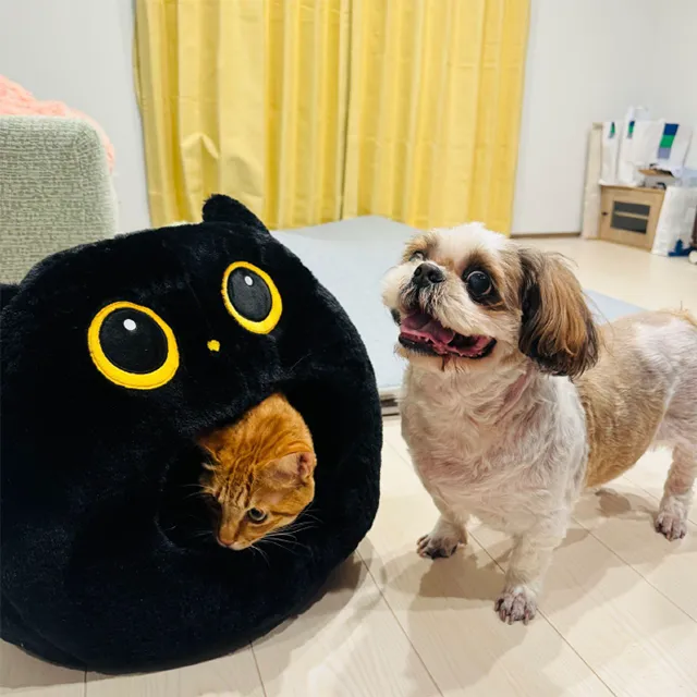 愛するペットとの
リラックスタイム