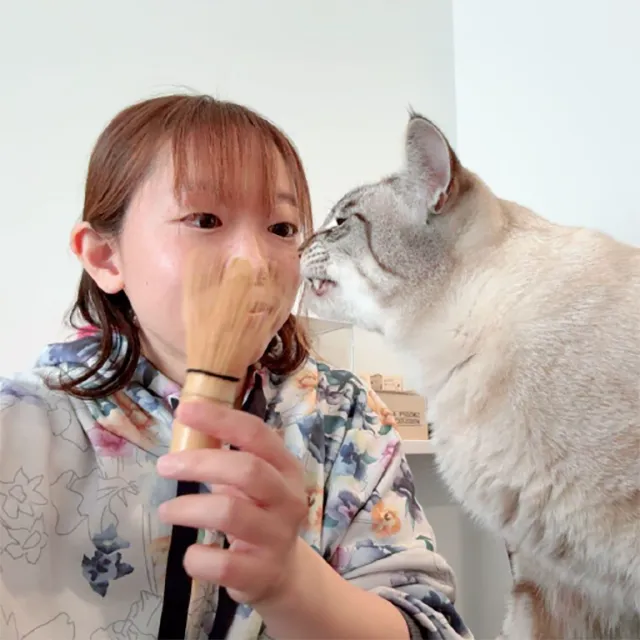 お茶と猫と、私の休日